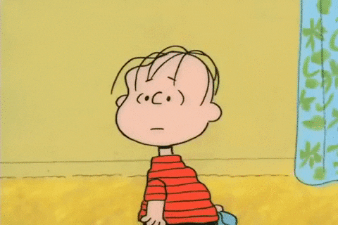 youre not elected charlie brown GIF by Peanuts