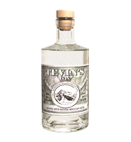 liquorificioaltavallecamonica gin tonic gintonic bottiglia Sticker