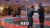 martial arts mma GIF by AKBAN Academy