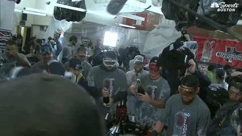Red Sox Win GIF by NBC Sports Boston