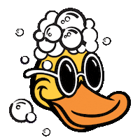Car Wash Duck Sticker by Quick Quack
