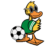 Car Wash Soccer Sticker by Quick Quack