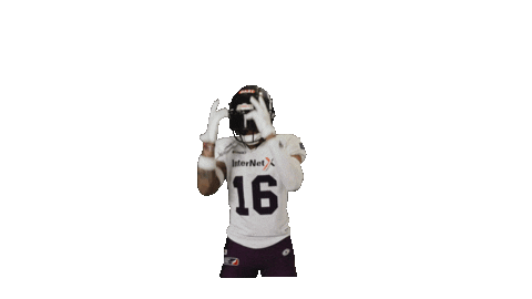 American Football Sticker by Frankfurt Galaxy