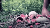 diamond youth GIF by Topshelf Records