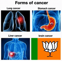 Right Wing Bjp GIF by HackerMarathi.IN