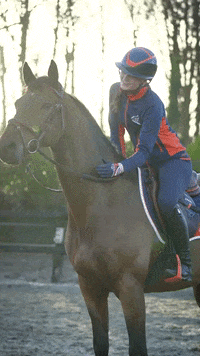 allaboutkristy horses GIF