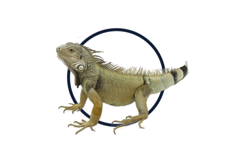 Machala Seduc Sticker by UEPRIM