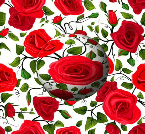 GIF by Steve Konklin