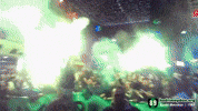 invicius kocaelispor GIF