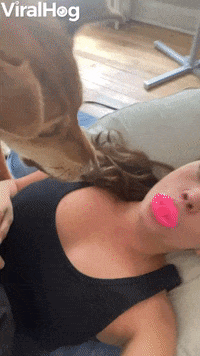 Breakfast The Dog Doesnt Like Kazoos GIF by ViralHog