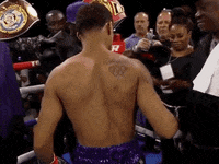 toprank fight boxing fighting espn GIF