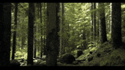 Travel Thank You GIF by Ecovidrio