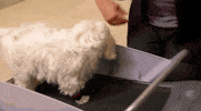 cmt GIF by I Love Kellie Pickler