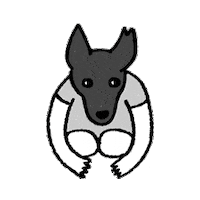 Sorry My Bad Sticker