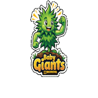 Bionova Sticker by Grow Pro