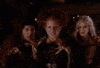 hocus pocus witch GIF
