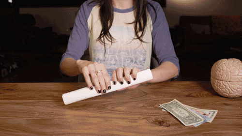 GIF by PBS