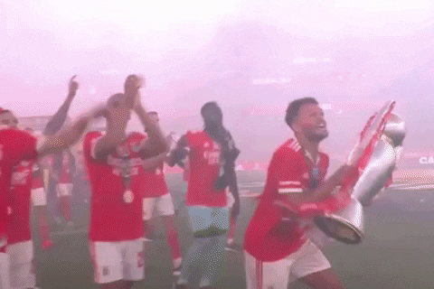 Portugal Benfica GIF