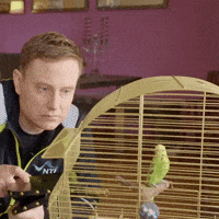 GIF by NTE Grøntforsprang