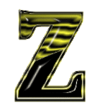 z STICKER