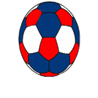 Tus_Komet_Arsten ball handball handbal bol Sticker