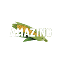 Maize Sticker by Foodmaker