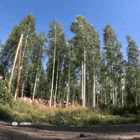 Too Fast Motorsport GIF by FIA World Rally Championship