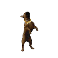 Juju Sticker by got milk