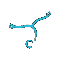 Skating Sticker by Ginnastica Tigullio