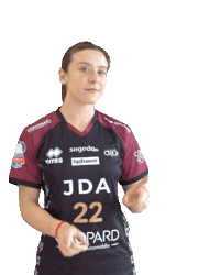 Handball Sticker by JDA Dijon Basket