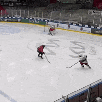 folketspuckhockeyklubb hockey tortugas hockey hit folkets puck GIF