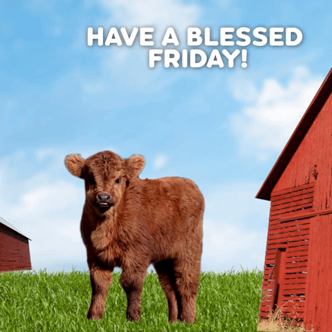Have A Blessed Friday!