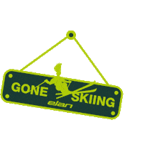 Friends Snow Sticker by Elan Sports