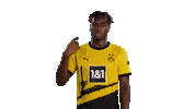 Football Sport Sticker by Borussia Dortmund