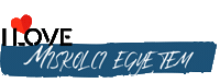 miskolci_egyetem magyar egyetem miskolc unimiskolc Sticker