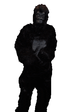 Frank Sticker by Online Monkeys