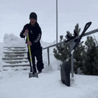 Frdm GIF