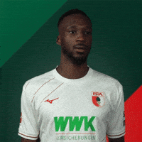 France Goal GIF by FC Augsburg 1907