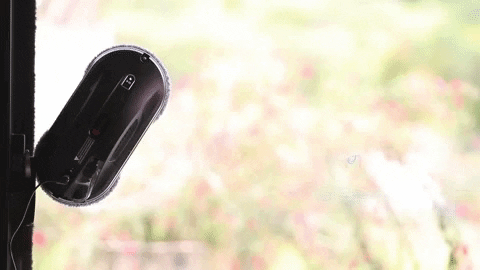 deegital giphygifmaker GIF