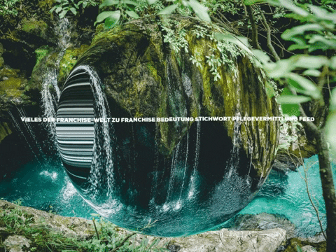 FranchiseONE giphygifmaker damn enjoy franchise GIF