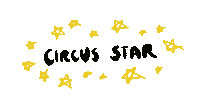 Circus Trapeze Sticker by AirCraftCircusAcademy
