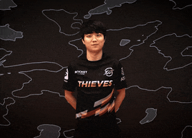 Intimidating Video Games GIF by 100 Thieves