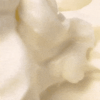 phillycreamchs philadelphia philly cream cheese philadelphia cream cheese GIF