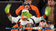 National Football League GIF by NFL
