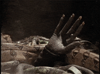 are you afraid of the dark various tv halloween GIF by Nickelodeon