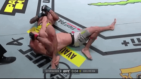 Combat_Sports_Fan giphygifmaker GIF