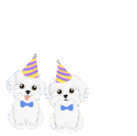 Happy Birthday Sticker by HammyandBrody