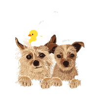 Dog Sticker by The OUAI