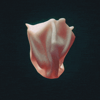 loop 3d GIF by Darkpulse