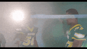 North Dakota State Bison GIF by NDSU Athletics